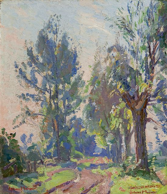 Johan Meijer | Bomen langs een pad, olieverf op schildersboard, 26,6 x 23,2 cm, gesigneerd l.o. en 2 x r.o.