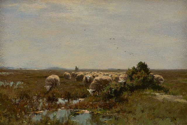 Willem Steeling jr. | Grazende schapen op de heide, olieverf op doek, 33,1 x 48,0 cm, gesigneerd r.o.