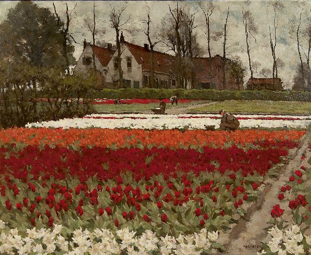 Anton Koster | Hyacinten- en tulpenvelden, Overveen, olieverf op doek, 60,0 x 73,2 cm, gesigneerd r.o.