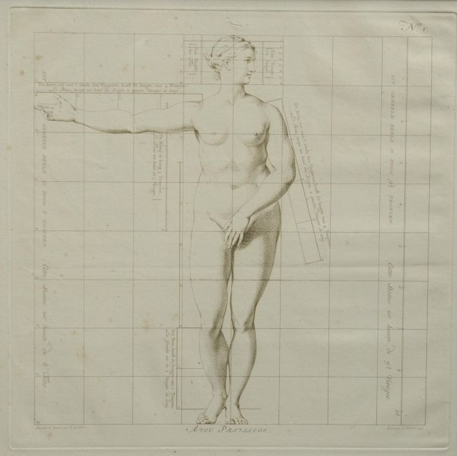 Wit J. de | De ideale proporties van het menselijk lichaam - Vrouw (no.V), gravure op papier 40,0 x 40,0 cm