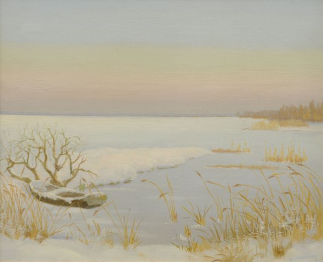 Dirk Smorenberg | Loosdrechts plassengezicht in de winter, olieverf op doek, 46,2 x 56,3 cm, gesigneerd r.o.