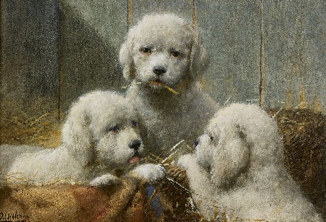 Otto Eerelman | Drie pups in een mand, aquarel op papier, 36,0 x 53,5 cm, gesigneerd l.o.