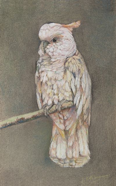 Johanna Pieneman | Kaketoe, pastel op papier, 49,4 x 31,7 cm, gesigneerd r.o.