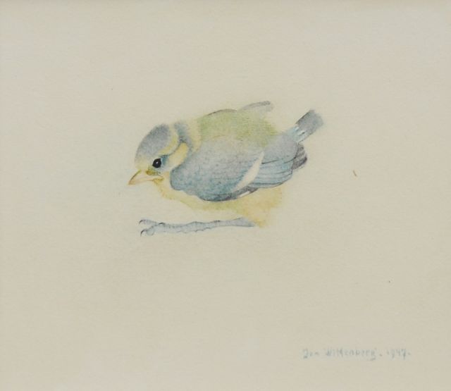 Jan Wittenberg | Jonge pimpelmees, aquarel op papier, 10,8 x 13,3 cm, gesigneerd r.o. en gedateerd 1947