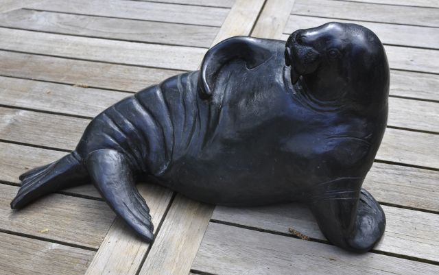 Dachlauer R.  | Walrus, brons 18,0 cm, gesigneerd met monogram op rand achterkant