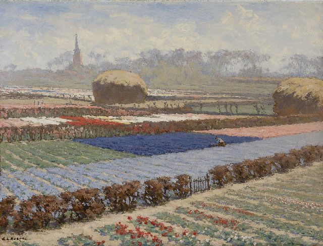 Anton Koster | Hyacinten- en tulpenvelden, olieverf op doek, 44,7 x 59,3 cm, gesigneerd l.o. en met stempel op etiket op spieraam