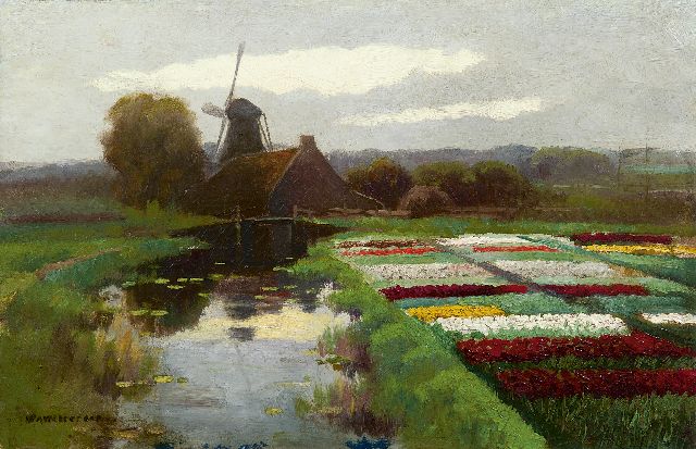 Willem Abraham Wassenaar | Tulpenvelden bij een molen, olieverf op doek, 33,2 x 50,4 cm, gesigneerd l.o.