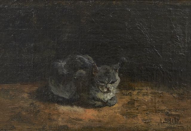 Arthur Briët | Slapende grijze kat, olieverf op doek op paneel, 13,0 x 20,8 cm, gesigneerd r.o.