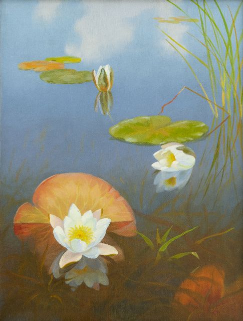 Smorenberg D.  | Waterlelies in de Loosdrechtse Plassen, olieverf op doek 54,2 x 41,3 cm, gesigneerd r.o.