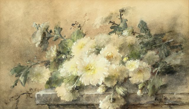 Roosenboom M.C.J.W.H.  | Witte chrysanten op een stenen plint, aquarel op papier 44,6 x 74,9 cm, gesigneerd r.o.