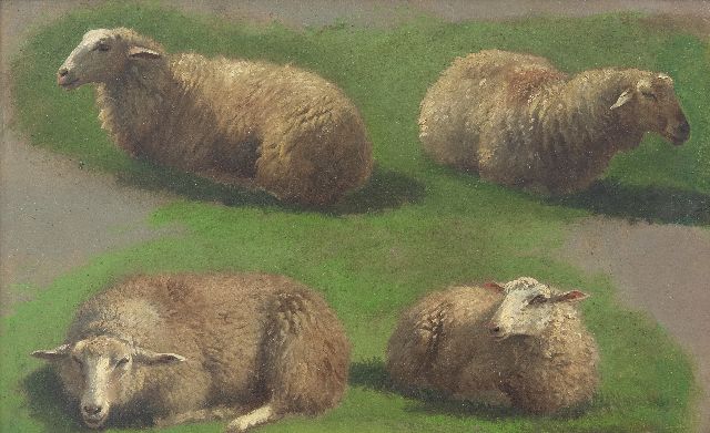 Frans Lebret | Studie van schapen, olieverf op papier op paneel, 23,4 x 37,0 cm