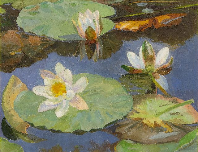 Smorenberg D.  | Waterlelies, olieverf op doek 41,2 x 53,3 cm, gesigneerd r.o.