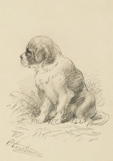 Otto Eerelman | Sint-Bernard pup, zwart krijt en aquarel op papier, 24,8 x 17,7 cm, gesigneerd l.o.
