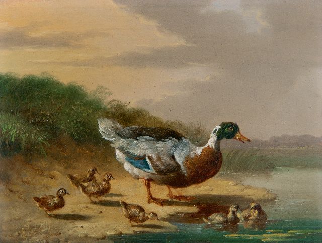 Albertus Verhoesen | Eend met kuikens aan het water, olieverf op paneel, 13,2 x 17,0 cm, gesigneerd l.o. en gedateerd 1841