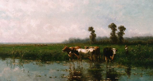 Vrolijk J.M.  | Koeien aan de waterkant, olieverf op paneel 51,0 x 90,0 cm, gesigneerd l.o. en gedateerd '87