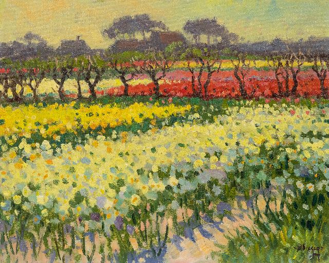 Ben Viegers | Narcissen- en tulpenvelden in Bakkum, Noord-Holland, olieverf op doek, 40,6 x 50,6 cm, gesigneerd r.o.