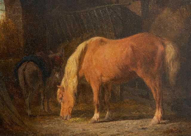 Os P.F. van | Paard en ezel op stal, olieverf op paneel 16,3 x 22,4 cm, gesigneerd l.o.