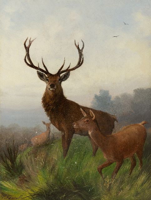 Carl Friedrich Deiker | Wild op een heuvel, olieverf op doek, 48,6 x 37,5 cm, gesigneerd l.o.