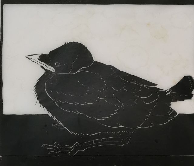Wittenberg J.H.W.  | Jonge kauw, houtsnede op Japans papier 14,3 x 16,5 cm, gesigneerd r.o. (in potlood)