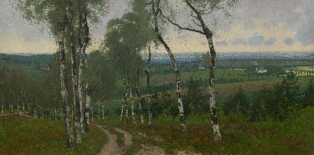 Wiggers D.  | Berkenweg, olieverf op doek 40,8 x 80,7 cm, gesigneerd l.o. en op spieraam en verso gedateerd 1903
