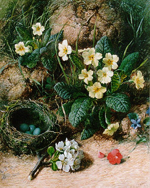 Slater C.H.  | Gele primula's, vogelnestje en bloesemtakje op de bosgrond, aquarel en gouache op papier 34,0 x 27,5 cm, gesigneerd r.o. en gedateerd '63