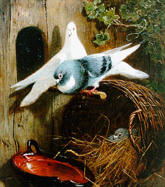 Henriette Ronner | Drie duiven bij een mand, olieverf op paneel, 19,4 x 15,8 cm, gesigneerd r.o.