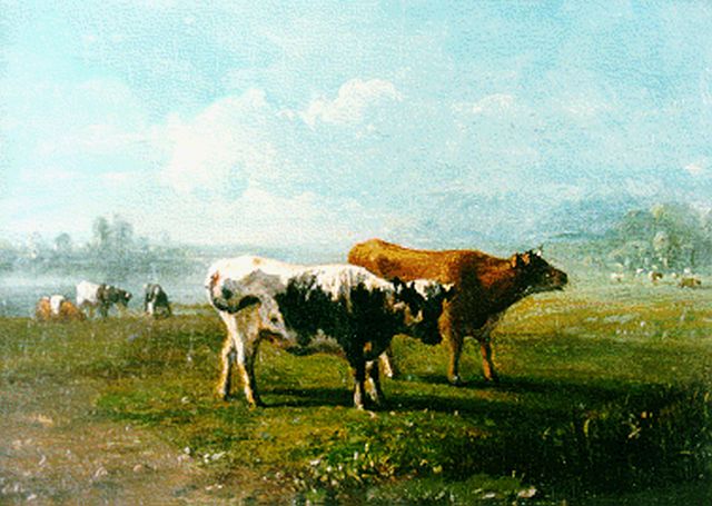 Jan Bedijs Tom | Koeien in de weide, olieverf op paneel, 13,3 x 18,4 cm, gesigneerd l.o.
