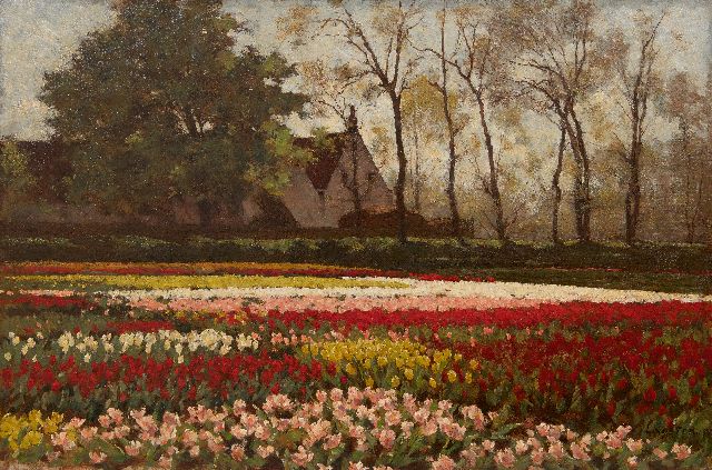 Anton Koster | Bloeiende tulpenvelden, olieverf op doek, 53,5 x 81,9 cm, gesigneerd r.o.