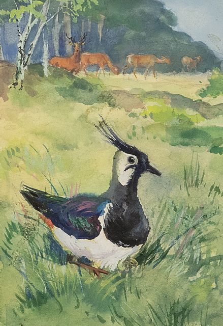 Rien Poortvliet | Broedende Kievit op de wildakker, met reeën Hoge Veluwe, gouache op papier, 12,8 x 8,2 cm