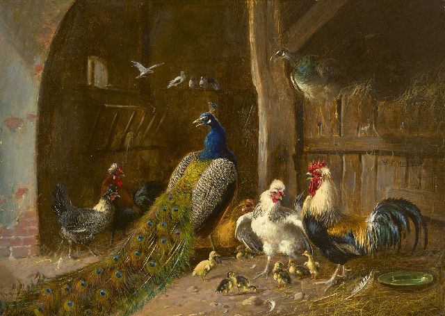Scheuerer J.  | Pauwenpaar met haan en kippen in de schuur, olieverf op paneel 22,2 x 31,1 cm, gesigneerd r.m.