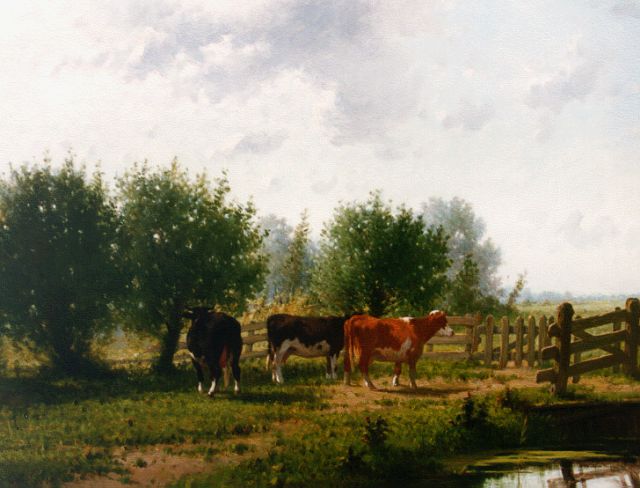 Cornelis Westerbeek | Drie koeien bij een slootkant, olieverf op paneel, 66,4 x 88,2 cm, gesigneerd l.o. en gedateerd '84