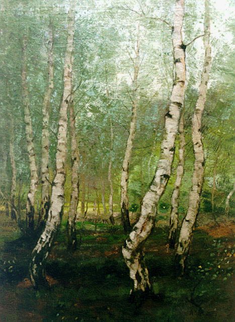 Arnold Marc Gorter | Berkenbosch, olieverf op doek, 70,4 x 54,0 cm, gesigneerd r.o.
