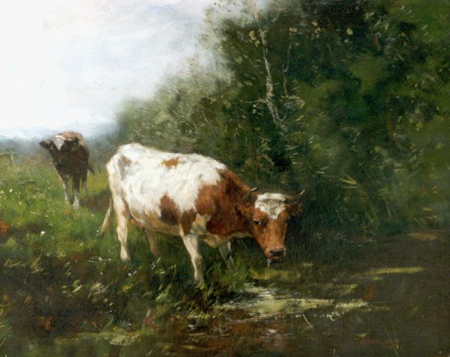 Johan Frederik Cornelis Scherrewitz | Koeien bij de slootkant, olieverf op doek, 40,0 x 50,2 cm, gesigneerd r.o.