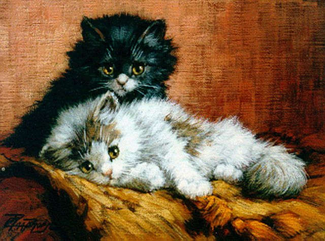 Cornelis Raaphorst | Twee jonge katjes, olieverf op doek, 18,0 x 24,0 cm, gesigneerd l.o.