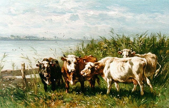 Jan de Haas | Grazende koeien aan het water, olieverf op paneel, 30,9 x 46,9 cm, gesigneerd r.o.
