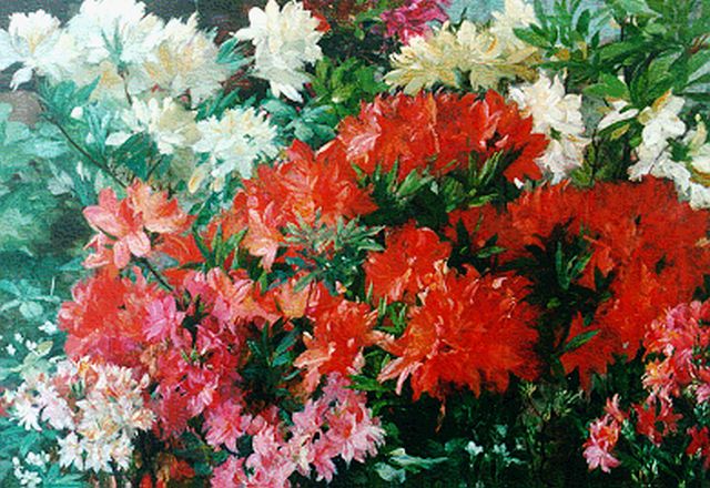 Visser jr. J.  | Bloeiende Rhododendrons, olieverf op doek 61,6 x 87,8 cm, gesigneerd r.b.