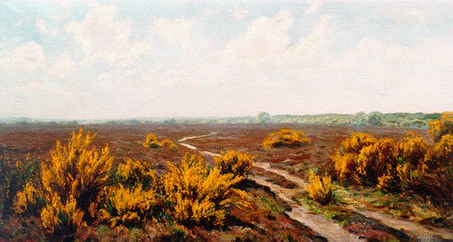 Johan Meijer | Heidelandschap met bloeiende brem, olieverf op doek, 44,5 x 84,0 cm, gesigneerd l.o.