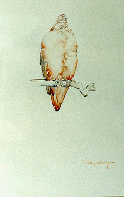 Willem van den Berg | Duif, aquarel op papier, 22,5 x 15,0 cm, gesigneerd r.o.