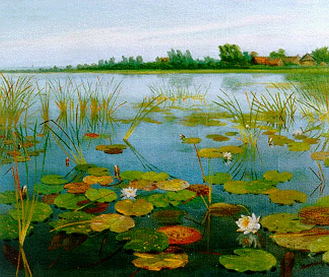 Dirk Smorenberg | Waterlelies, olieverf op doek, 50,2 x 60,3 cm, gesigneerd r.o.