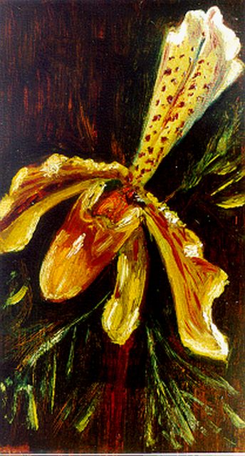 Mies Maris | Orchideeën, olieverf op papier op schildersboard, 22,0 x 12,6 cm