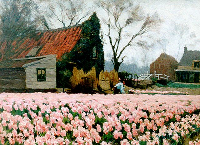 Anton Koster | Tulpenveld bij de Glip in Heemstede, olieverf op doek, 32,5 x 43,5 cm, gesigneerd l.o.