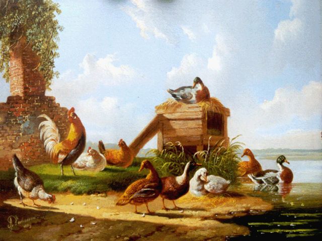 Albertus Verhoesen | Kippen en eenden langs de waterkant, olieverf op paneel, 12,9 x 16,9 cm, gesigneerd l.o. en gedateerd 1869
