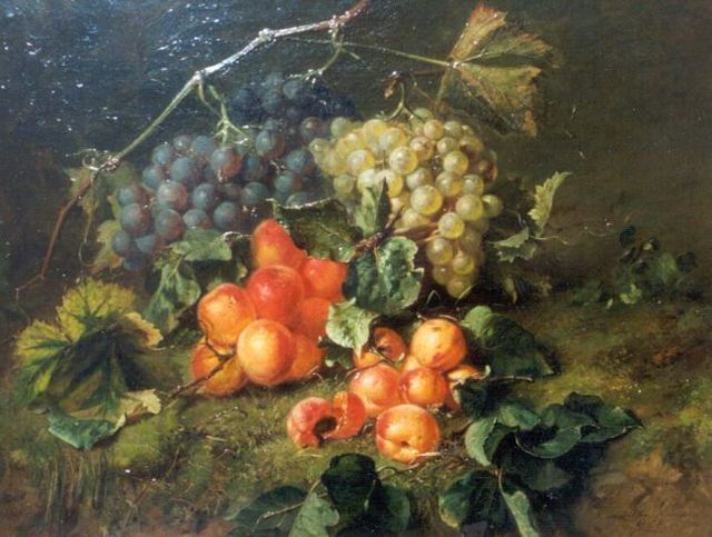 Haanen A.J.  | Stilleven met druiven en abrikozen, olieverf op doek 44,1 x 57,0 cm, gesigneerd r.o. en gedateerd 1868