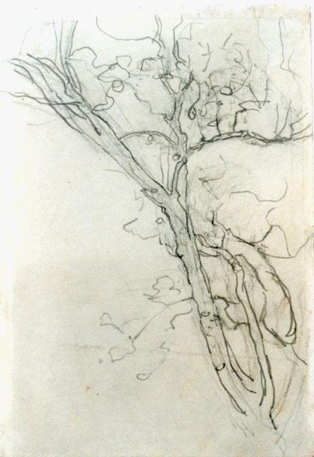 Piet Mondriaan | Schets van een tak, potlood op papier, 16,8 x 11,7 cm, te dateren ca. 1905