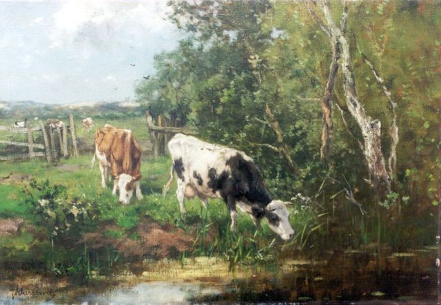 Scherrewitz J.F.C.  | Duinlandschap met drinkende koeien, olieverf op doek 35,0 x 50,2 cm, gesigneerd l.o.