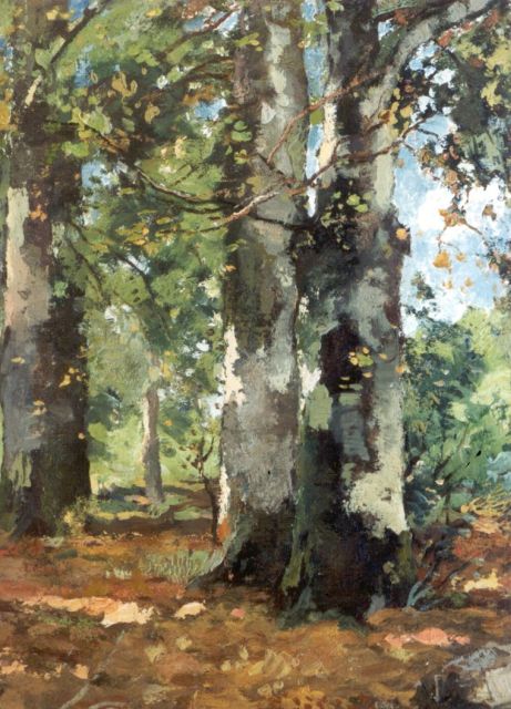 Théophile Emile Achille de Bock | Berkenbomen, olieverf op doek op paneel, 40,1 x 28,7 cm, gesigneerd r.o.