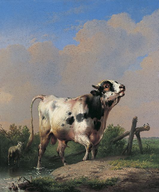 Eugène Verboeckhoven | Jonge stier in een landschap, olieverf op paneel, 65,0 x 54,3 cm, gesigneerd r.o. en gedateerd 1850