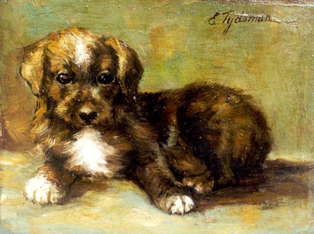 Dé Tijdeman | Jong hondje, olieverf op paneel, 14,5 x 19,2 cm, gesigneerd r.b.