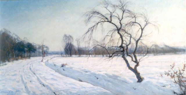 Johan Meijer | Winternamiddagzon, Blaricum, olieverf op doek, 43,6 x 84,4 cm, gesigneerd l.o.