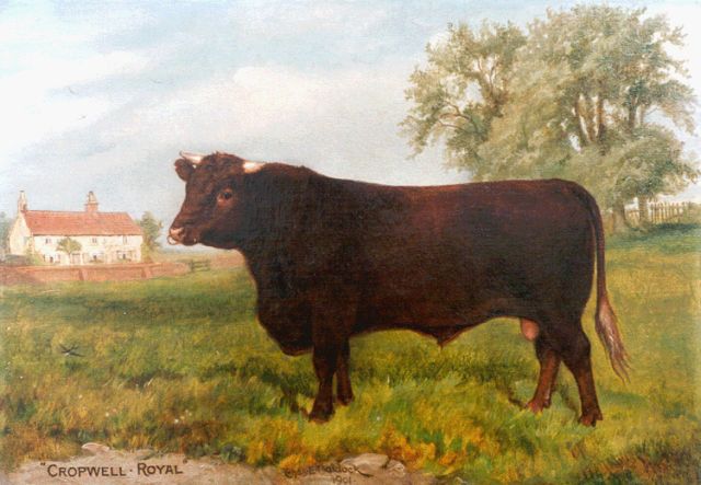 Charles Edwin M. Baldock | Cropwell Royal, portret van een stier, olieverf op doek, 29,8 x 42,0 cm, gesigneerd l.v.h.m. en gedateerd 1902